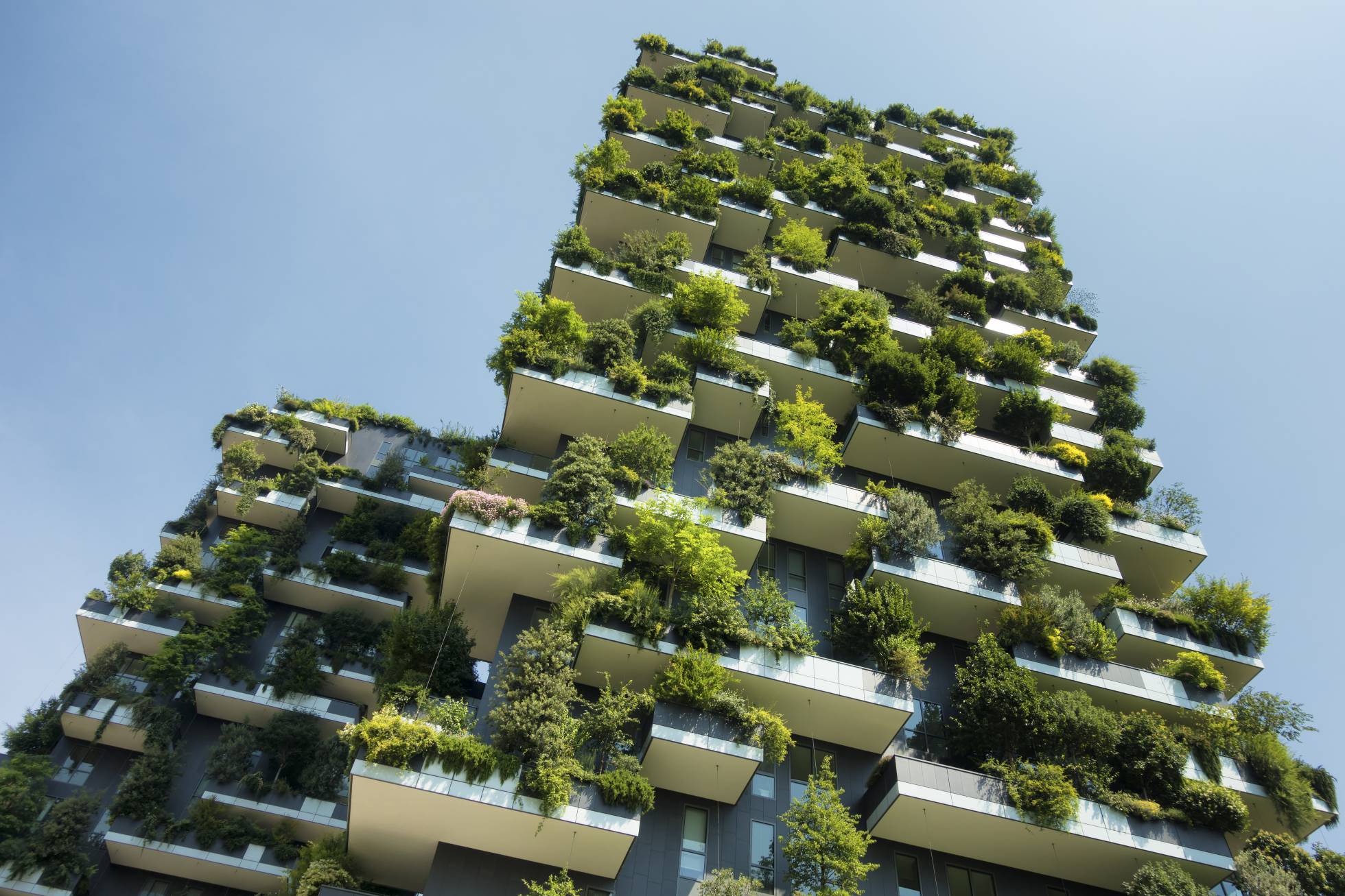 Arquitectura Sostenible O Sustentable El Diseño Y Su Importancia En El